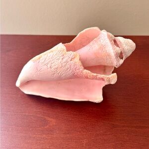 Pink Conch Shell Home Accent